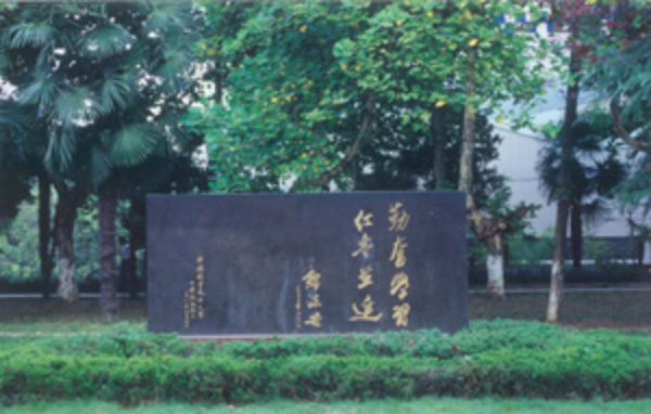 圖片11